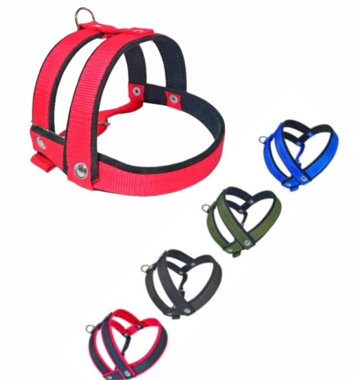 GUIA PEITORAL PORTE MEDIO COM MOLA MEDIO