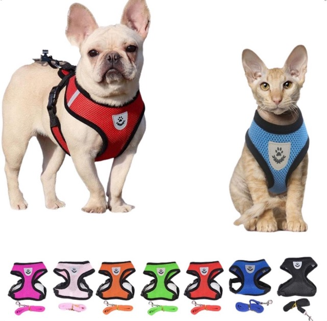 GUIA PEITORAL PUPPIE MEDIO MEU PET