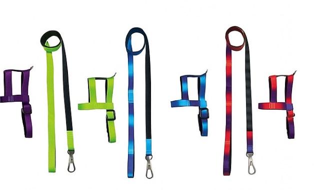 GUIA PEITORAL SEDA ESSENCIAL N 4