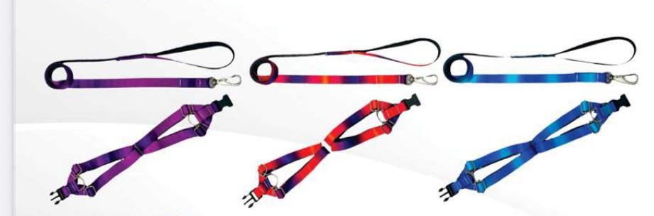 GUIA PEITORAL SEDA NEON GRANDE