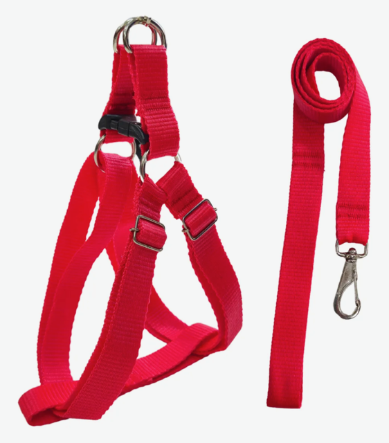 GUIA PEITORAL SP N6 GIGANTE 40MM