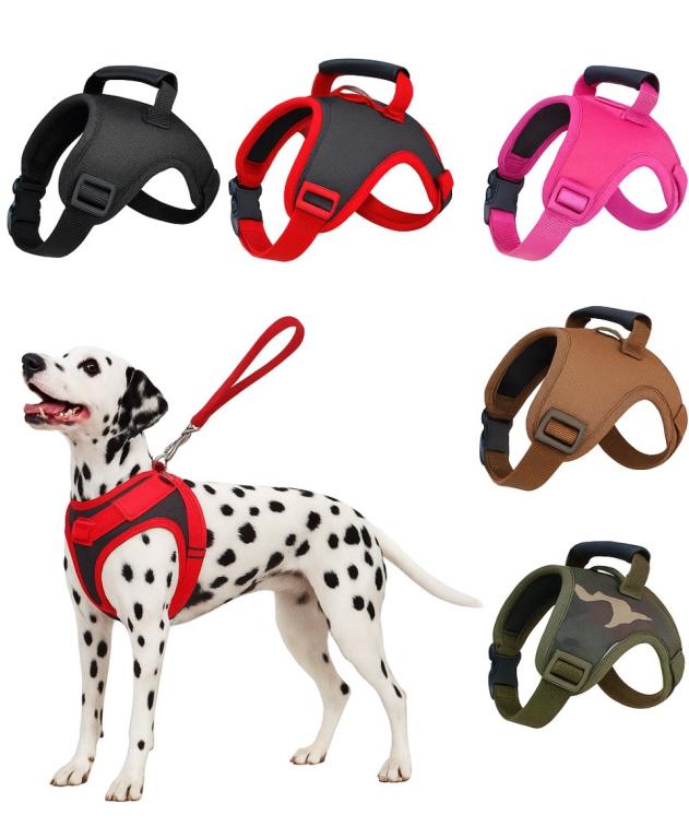 GUIA PEITORAL STILLO PP