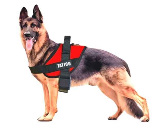 GUIA PEITORAL TATICO PP