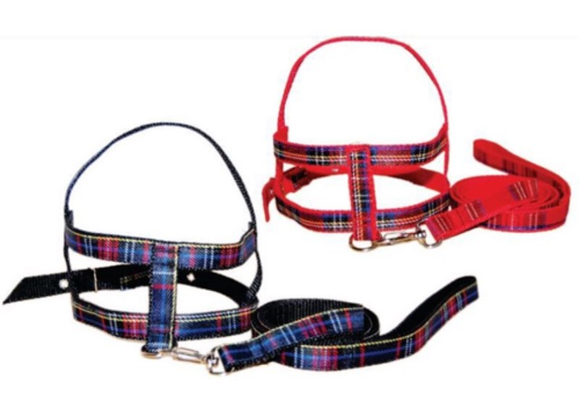 GUIA PEITORAL XADREZ N4