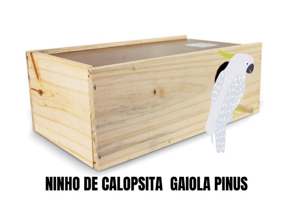 NINHO PINUS CALOPSITA LUXO HR 12.5AX 18.5LX 35COMP