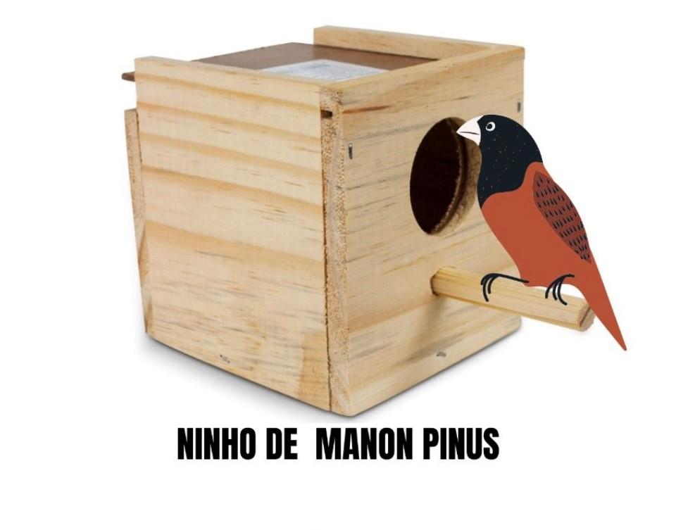 NINHO PINUS MANOM GAIOLA 10.5AX 11LX 11C