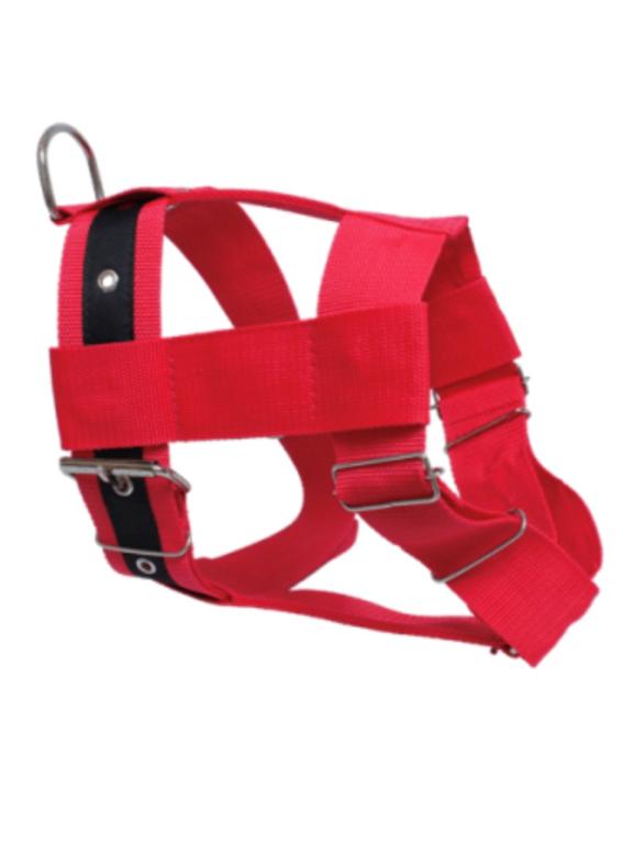 PEITORAL NYLON TRACAO SEM PINO