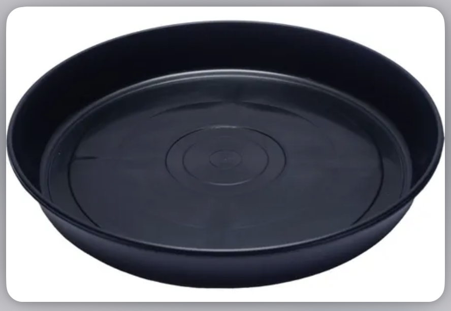 PRATO PRETO N10