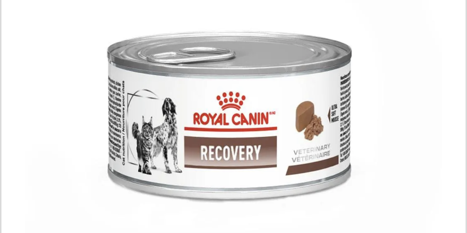 RECOVERY CANIN & FELINI WET 195GR 1UND
