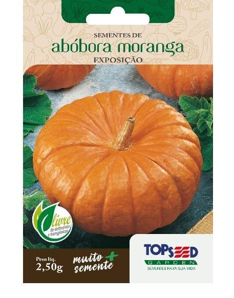 SEMENTE ABOBORA MORANGA EXPOSICAO MARCO A OUTUBRO