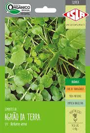 SEMENTE AGRIAO DA TERRA MAIO A JULHO