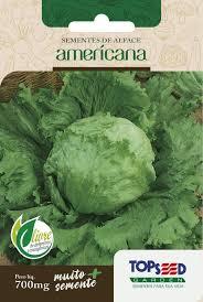 SEMENTE ALFACE AMERICANA