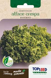 SEMENTE ALFACE CRESPA INVERNO ANO TODO