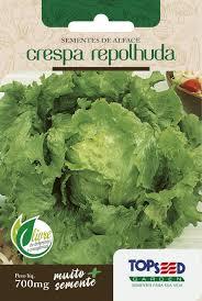 SEMENTE ALFACE CRESPA REPOLHUDA