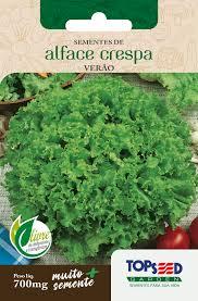 SEMENTE ALFACE CRESPA VERAO