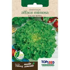 SEMENTE ALFACE MIMOSA SALADA BO 70 GR