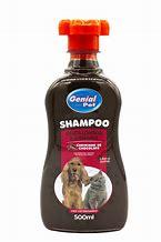 SHAMPOO GENIAL CHOCOLATE 500ML