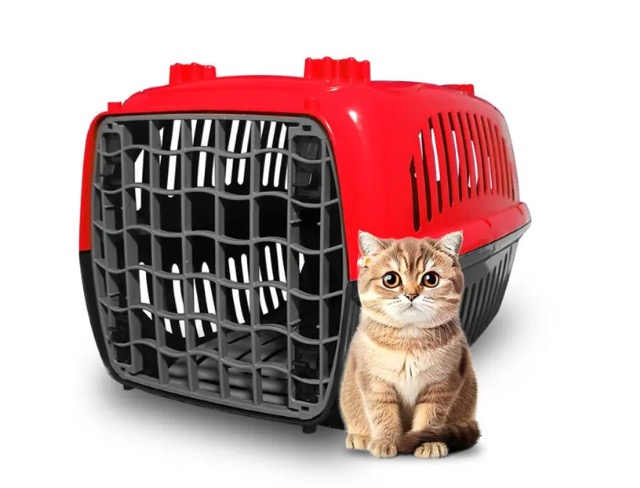 TRANSPORTE BURDOG VERMELHO 2 A35XL36XC53CM