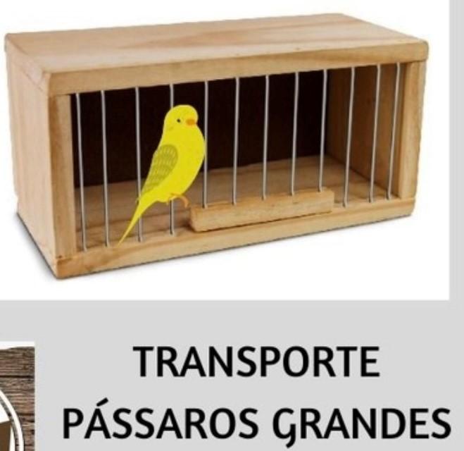 TRANSPORTE PINUS PASSARO 3 DIVISAO HR 11AX 9LX 37COMP