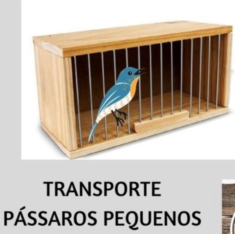 TRANSPORTE PINUS PASSARO PEQUENO HR 11AX 9LX 20COMP