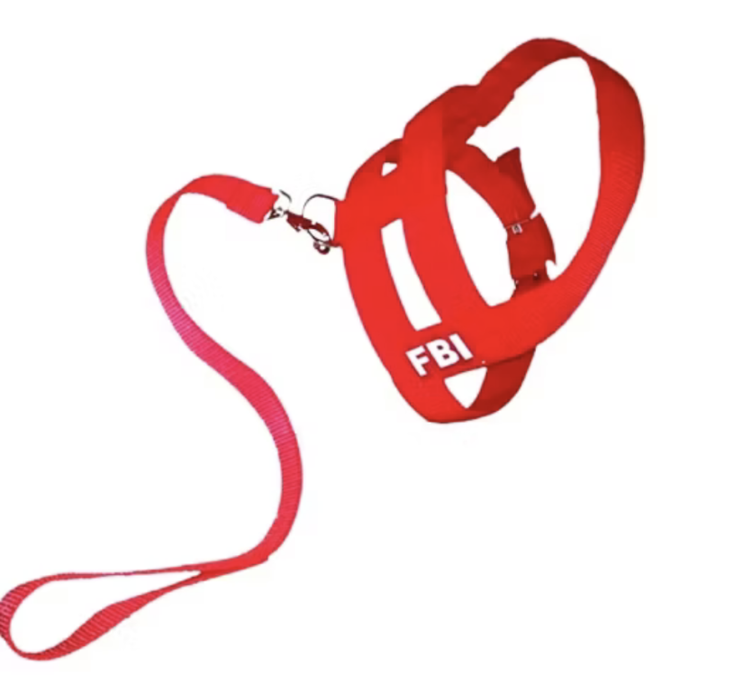 GUIA PEITO FBI N 5 SIMPLES
