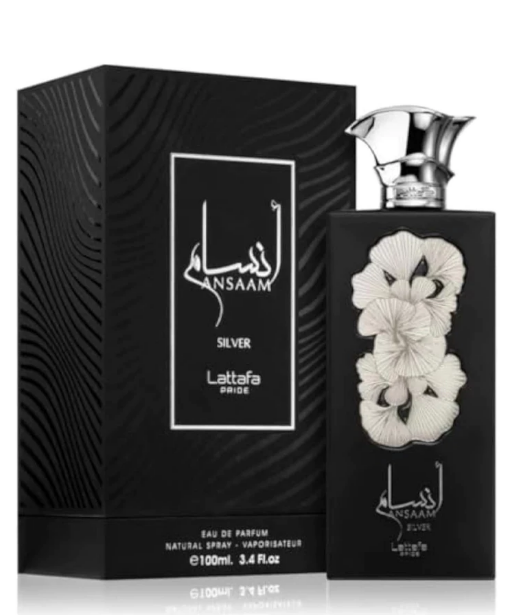 Ansaam Silver  100ml