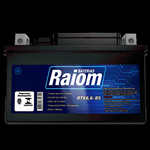 BATERIA CBR 1000/ HORNET 8.6BS (RAIOM)