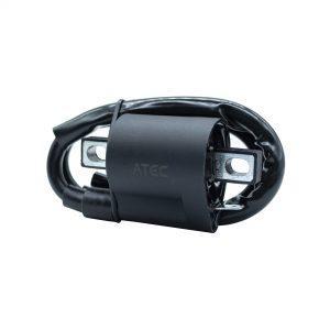 BOBINA IGNIÇÃO FAN 125 09/13 (SMART)