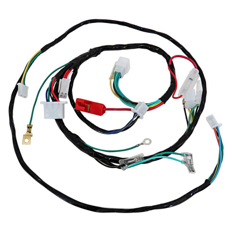 CHICOTE PRINCIPAL BIZ 100 02/06 KS (MAGNETRO