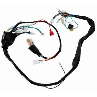 CHICOTE PRINCIPAL FAN 125 04/08 (RT)