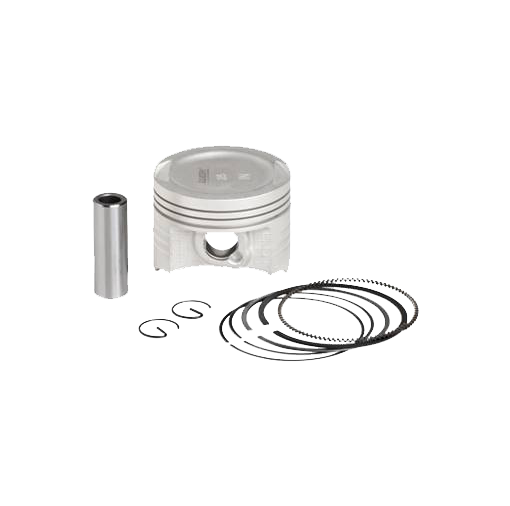 KIT PISTÃO FAN 125 09 STD (WGK)