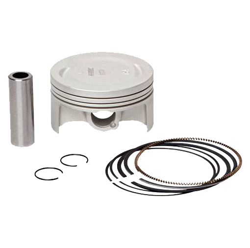 KIT PISTÃO FAZER 250 0,25 (WGK)