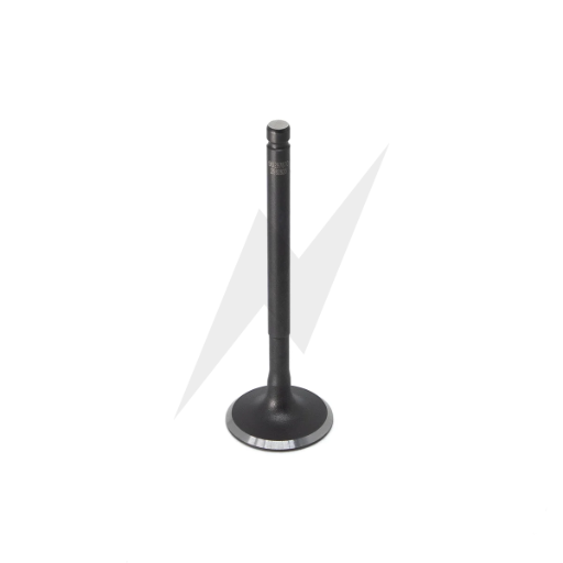 VALVULA ESCAPE POP 110 25