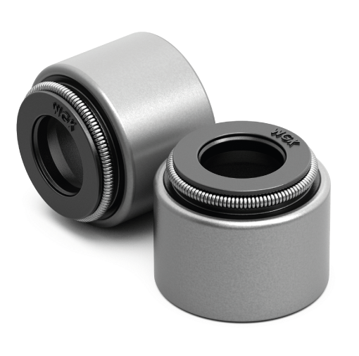 RETENTOR VALV FAZER 250/LANDER PAR (WGK)