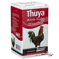 THUYA