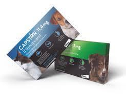 Capstar 11,4 mg  cx (6)