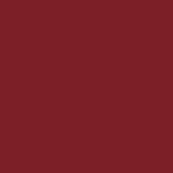 EVA LISO 40 X 48cm - PCT C/ 10UN - VERMELHO ESCURO - BRW