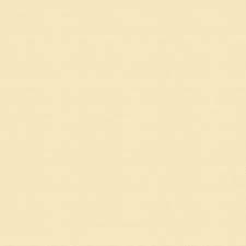 EVA LISO 40 X 48cm PCT C/ 10UN - BEGE - FUTURO