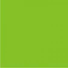 EVA LISO 40 X 48cm - PCT C/ 10UN - VERDE FOLHA - 5017 - BRW