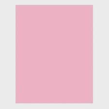 COLOR SET / CARMEM - PCT C/ 20fls ROSA