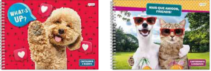 CADERNO DESENHO CARTOGRAFIA CD - 80FLS - PCT C/4 - PET - 68884-77 - JANDAIA - PROMOCAO