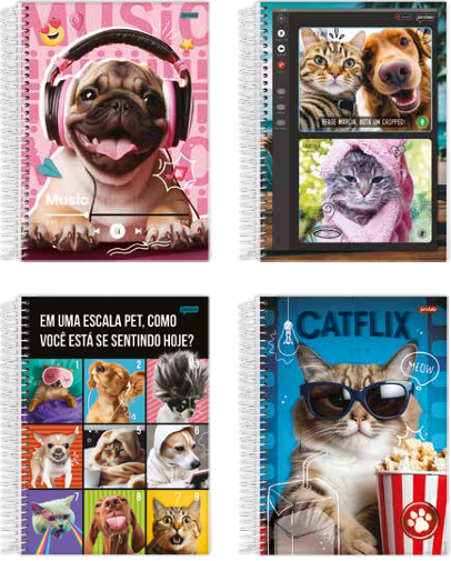 CADERNO 10X1 160FLS - PCT C/4 - PET - 68886-77 - JANDAIA