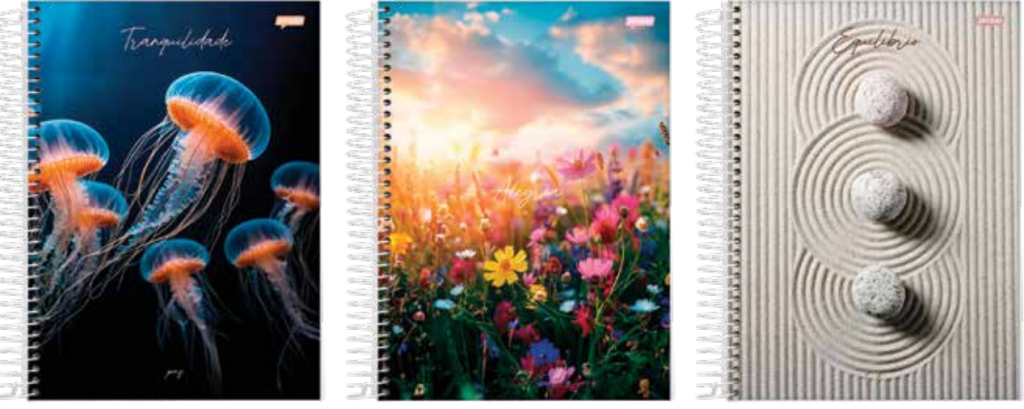 CADERNO 1X1 80FLS - PCT C/4 - PAZ - 68779-77 - JANDAIA