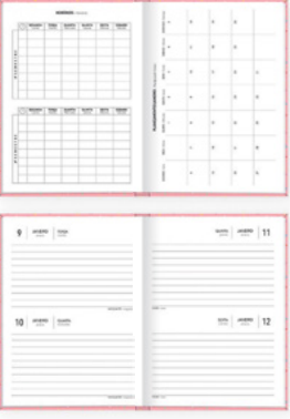 AGENDA ESCOLAR 2026 - 16x12cm - PCT C/5 - 393771- COSTURADA SPICE FEMININA - TILIBRA