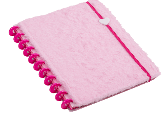 CADERNO INTELIGENTE UNIVERSITARIO 80FLS -  PLUSH S2 - UN - CD1011 - BRW