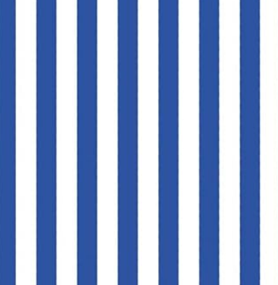 EVA DECORADO LISTRADA AZUL E BRANCO - 40cm X 48cm - PCT C/ 5UN - PE1501 - BRW