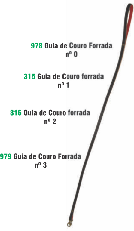 GUIA FORRADA 1