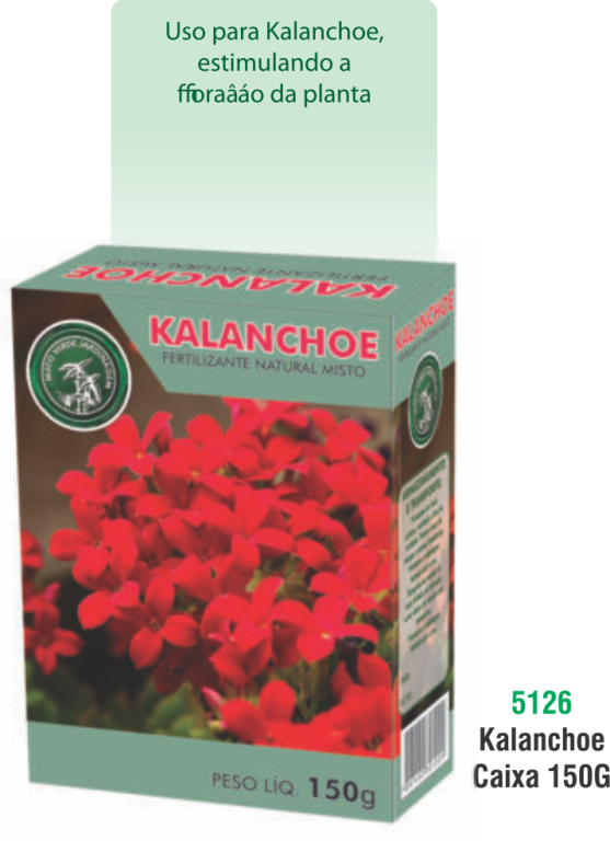 KALANCHOE CAIXA 150 G