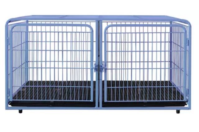 KIT CANIL  PET MIX MODULAR 07 LUGARES - AZUL