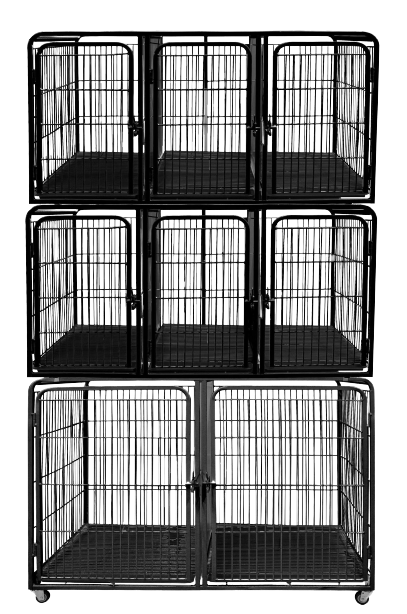 KIT CANIL PET MIX MODULAR 8 LUGARES - PRETO